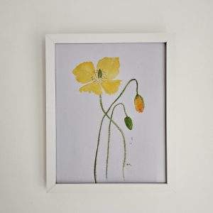 Welsh poppy watercolour