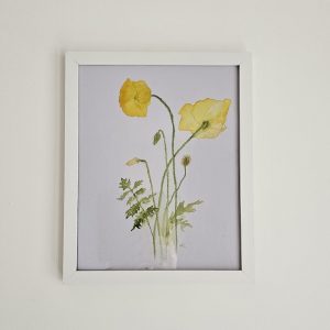 Welsh Poppy Monoprint