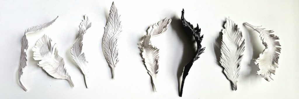 Feathers